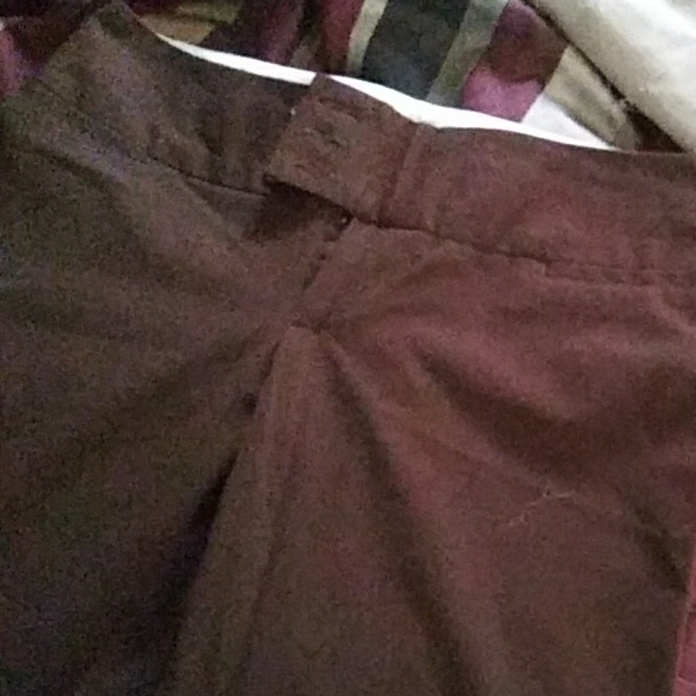 Brown Maurice's Capri Dress Pants